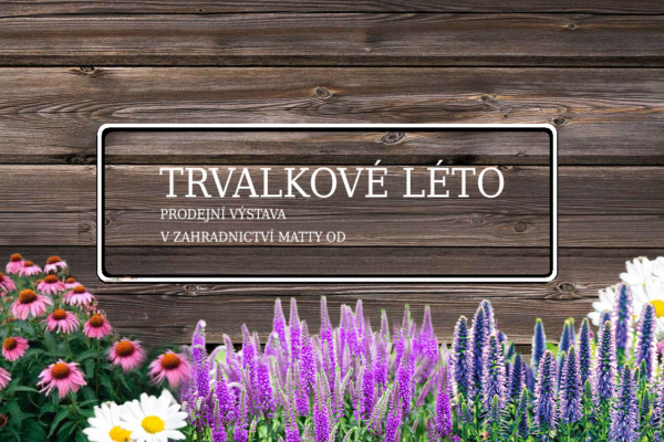 TRVALKOVÉ LÉTO